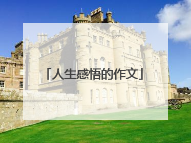 人生感悟的作文