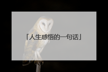 人生感悟的一句话