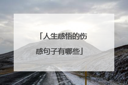 人生感悟的伤感句子有哪些