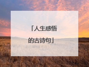 人生感悟的古诗句