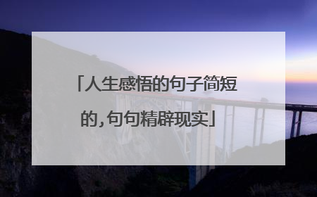 人生感悟的句子简短的,句句精辟现实