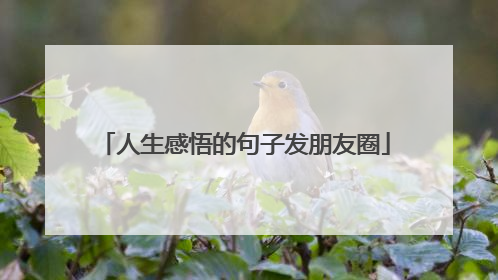 人生感悟的句子发朋友圈