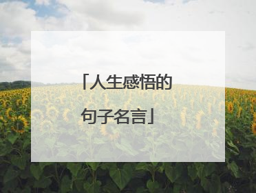 人生感悟的句子名言