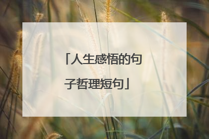 人生感悟的句子哲理短句