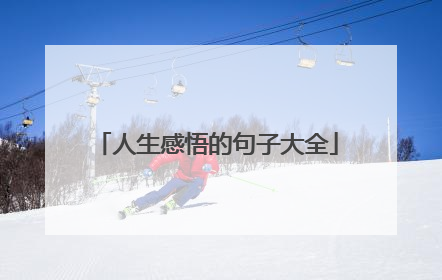 人生感悟的句子大全