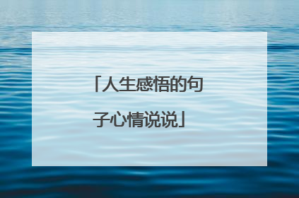 人生感悟的句子心情说说