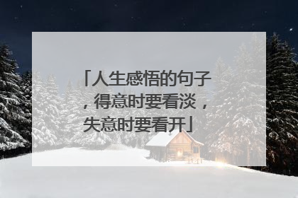 人生感悟的句子,得意时要看淡,失意时要看开