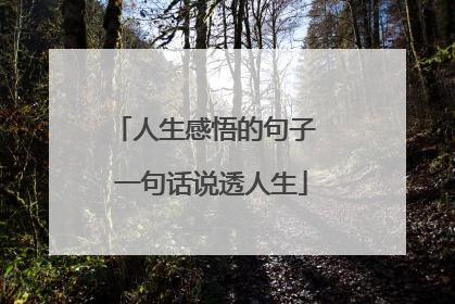 人生感悟的句子 一句话说透人生