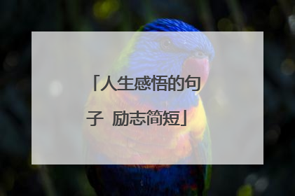 人生感悟的句子 励志简短