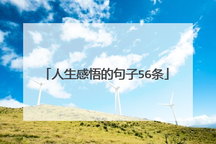人生感悟的句子56条