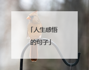 人生感悟的句子
