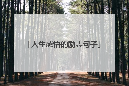 人生感悟的励志句子