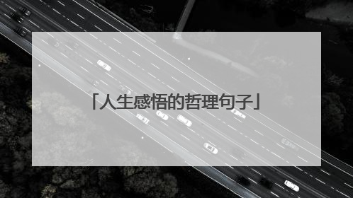 人生感悟的哲理句子