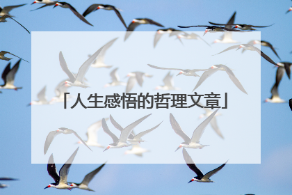 人生感悟的哲理文章