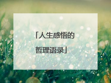 人生感悟的哲理语录
