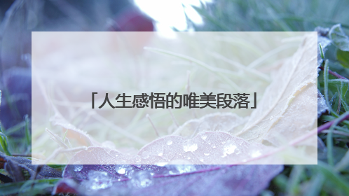 人生感悟的唯美段落