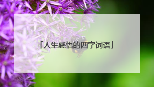 人生感悟的四字词语