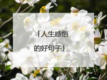 人生感悟的好句子