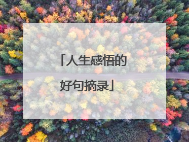 人生感悟的好句摘录