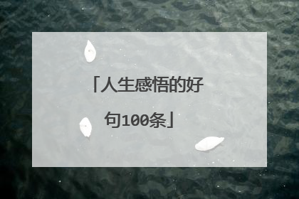 人生感悟的好句100条