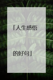 人生感悟的好句