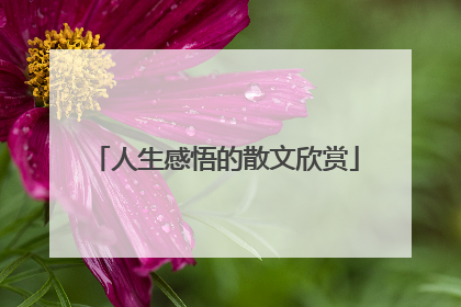 人生感悟的散文欣赏