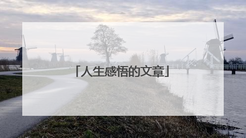 人生感悟的文章