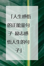 人生感悟的正能量句子 励志感悟人生的句子