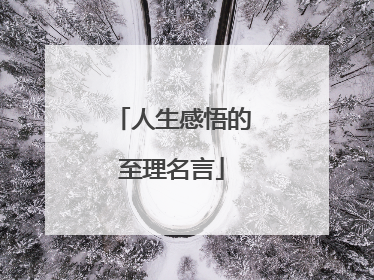 人生感悟的至理名言