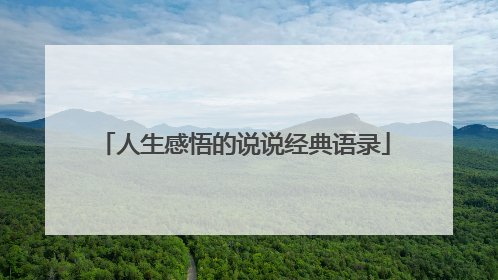 人生感悟的说说经典语录