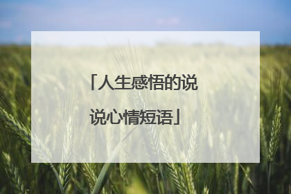 人生感悟的说说心情短语