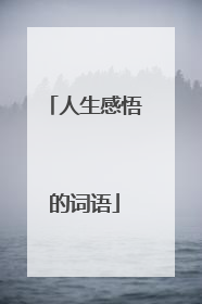 人生感悟的词语