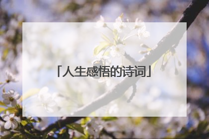 人生感悟的诗词