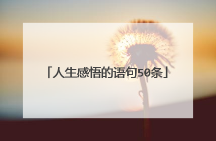 人生感悟的语句50条