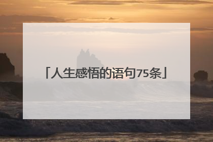 人生感悟的语句75条