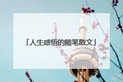 人生感悟的随笔散文