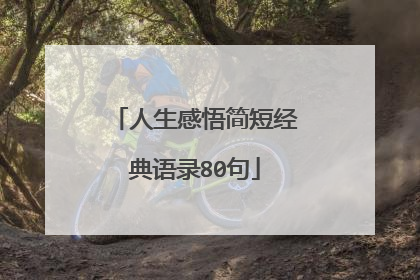 人生感悟简短经典语录80句