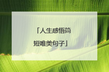 人生感悟简短唯美句子