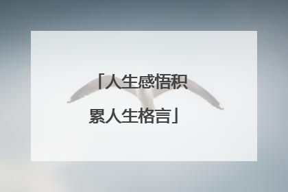 人生感悟积累人生格言