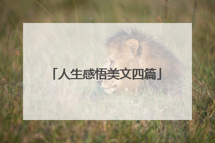 人生感悟美文四篇