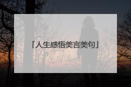 人生感悟美言美句