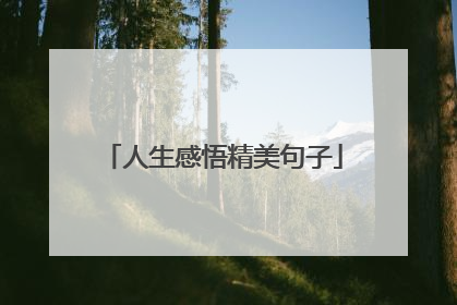 人生感悟精美句子