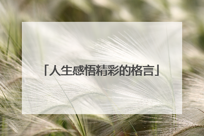 人生感悟精彩的格言