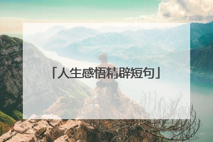 人生感悟精辟短句