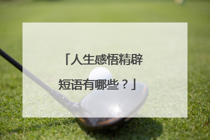 人生感悟精辟短语有哪些？