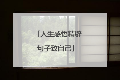 人生感悟精辟句子致自己