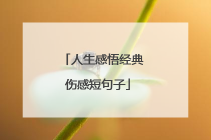 人生感悟经典伤感短句子