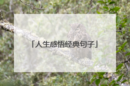 人生感悟经典句子