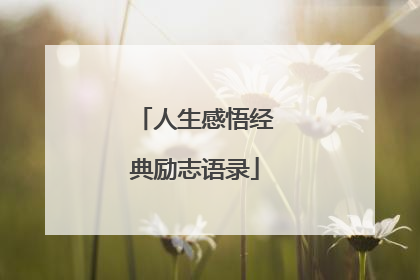 人生感悟经典励志语录