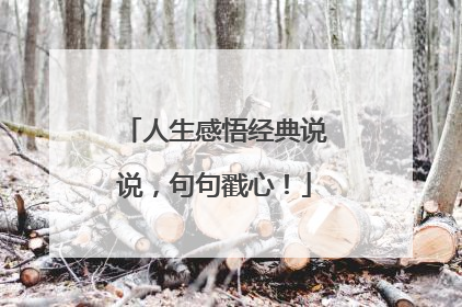 人生感悟经典说说,句句戳心!